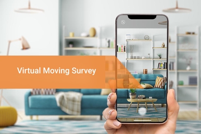 Virtual Moving Survey